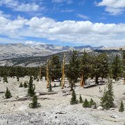 SouthernSierra 726 : SouthernSierra